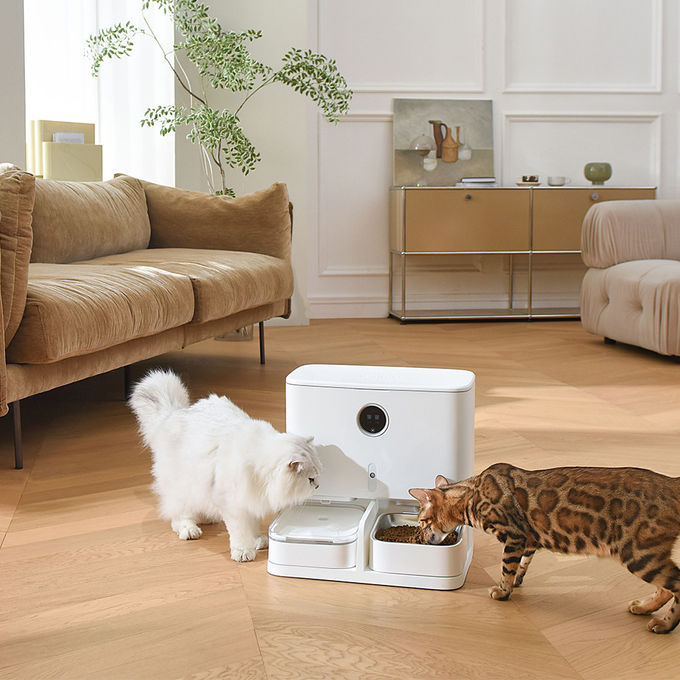 Αυτόματοι τροφοδότης σίτισης 6L Pet και επίδειξη διανομέων LCD νερού για τις γάτες/τα σκυλιά 0